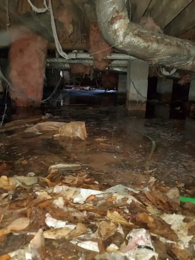 Crawl space flood assessment for Leak Detection & Repair in Medina
